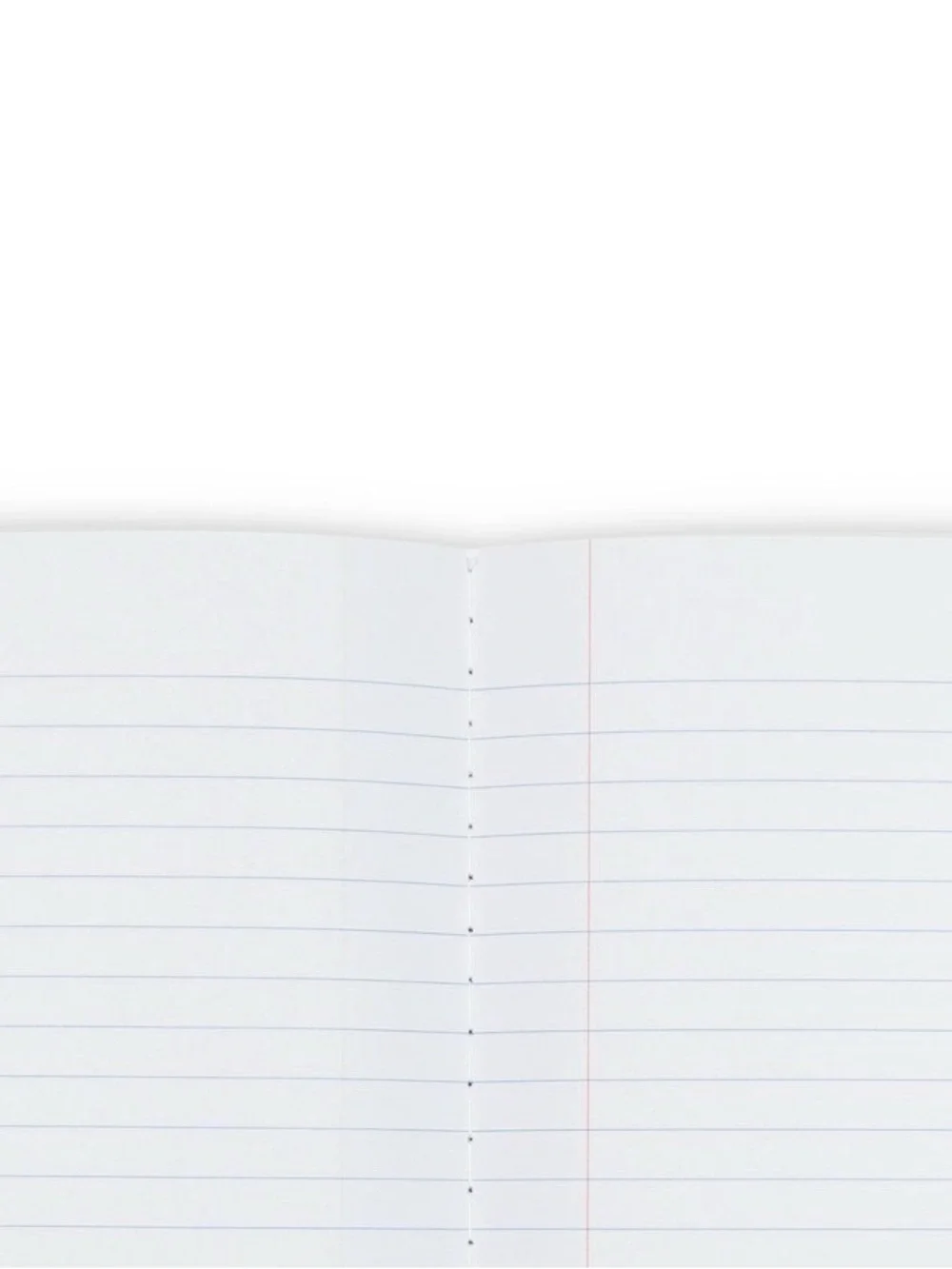 IN-HAND | LoveShackFancy x Target Yoobi Set of 2 Composition Notebooks